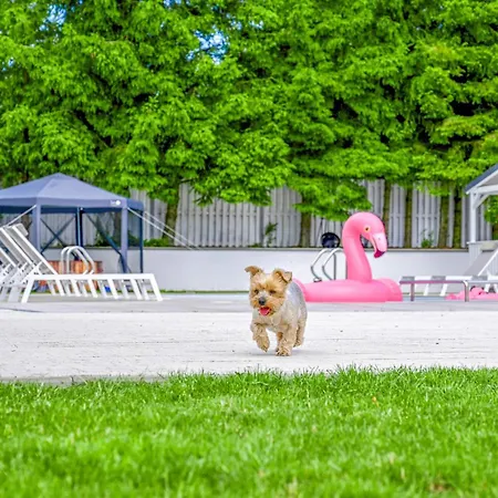 Vakantiehuis In With Wifi *