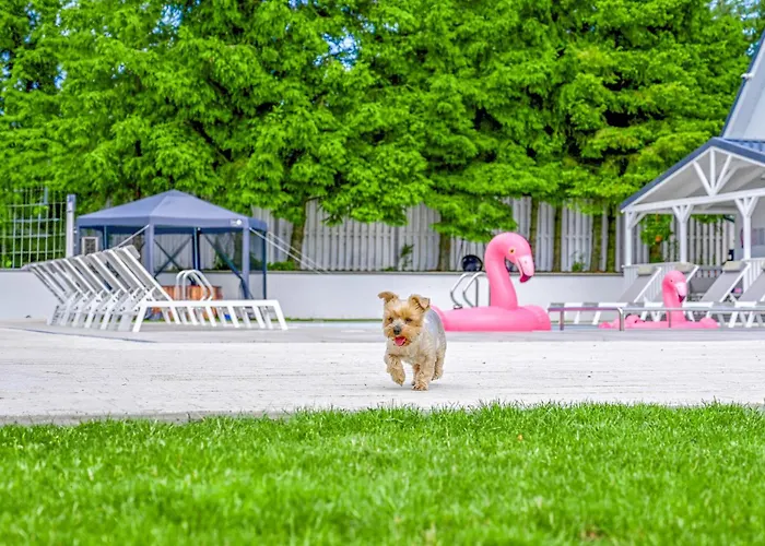 Tatil Evi In With Wifi *