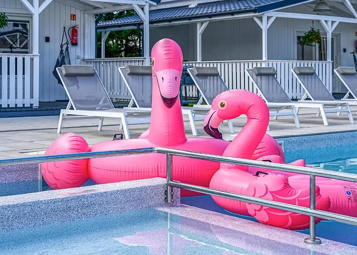 In With Wifi Tatil Evi *